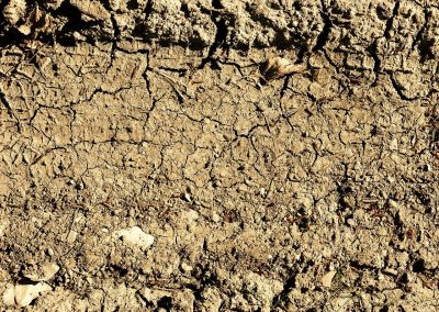 Dirt road with tire tracks